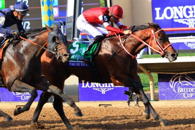 BCクラシック】フォーエバーヤングの今後は？ サウジC連覇や芝挑戦が