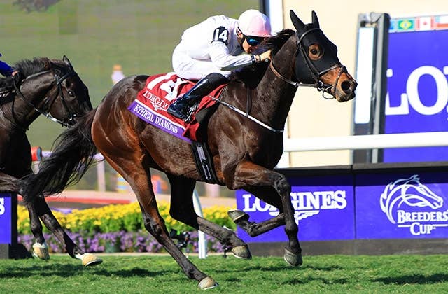 ブリーダーズカップターフ（G1） 2025/11/1(土) | 日程・結果 | JRA