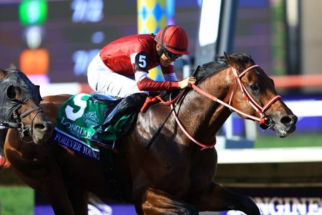 ブリーダーズカップ回顧】日本競馬初の快挙フォーエバーヤング、夢は