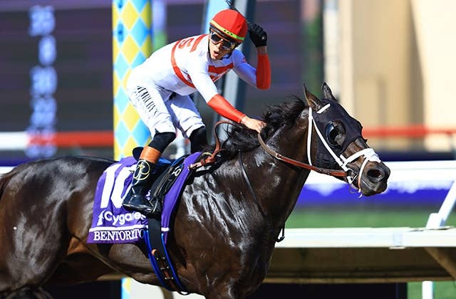 ブリーダーズカップスプリント（G1） 2025/11/1(土) | 日程・結果