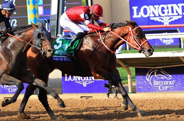 フォーエバーヤング BCクラシック2025 単勝馬券 フォーエバーヤング BCクラシック2025 単勝馬券 デルマー競馬場 - メルカリ