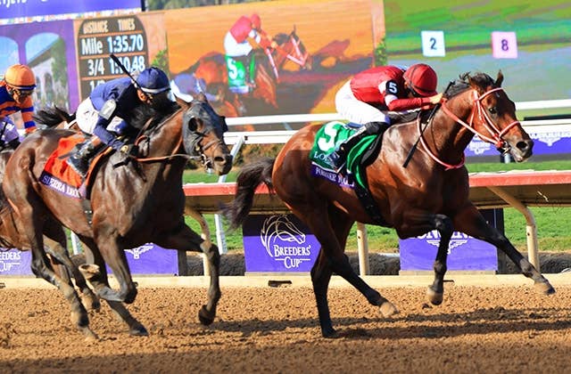 ケンタッキーダービー以来、素晴らしいライバル関係を築いた」シエラ