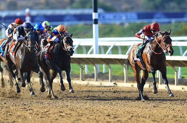 2025ブリーダーズカップ | JRA-VAN World - 海外競馬情報サイト