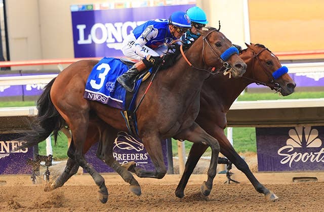 2025ブリーダーズカップ | JRA-VAN World - 海外競馬情報サイト