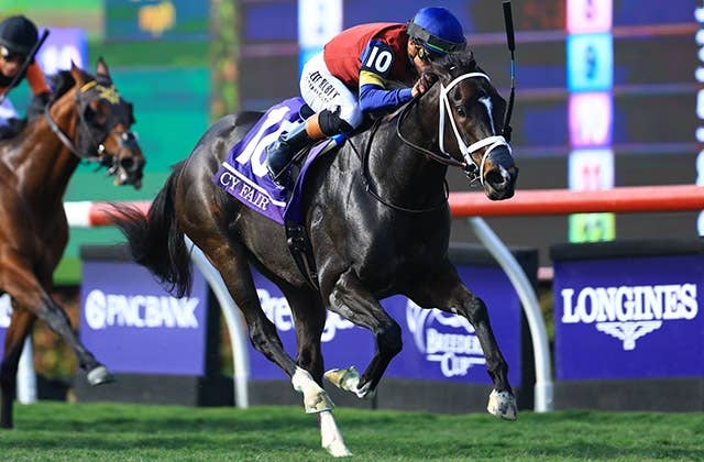 2025年 BCカップ 競馬公式プログラム パンフレット レース概要｜レース