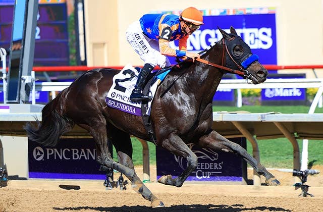 2025ブリーダーズカップ | JRA-VAN World - 海外競馬情報サイト