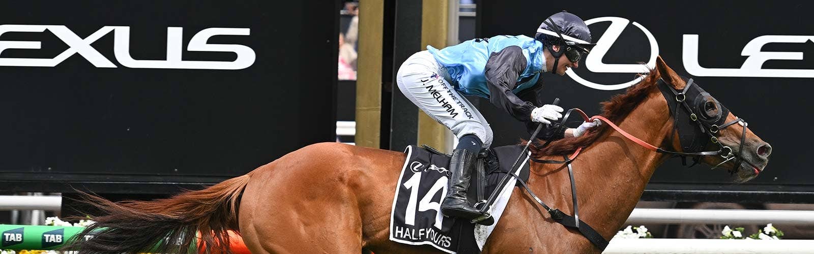 ハーフユアーズ<br>メルボルンC制しカップス・ダブル達成