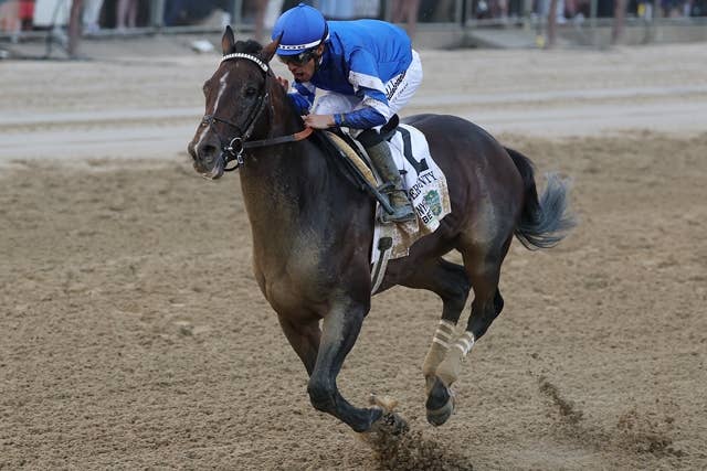 2025年 BCカップ 競馬公式プログラム パンフレット 2025ブリーダーズ