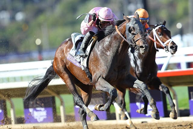 フォーエバーヤング BCクラシック2025 単勝＆複勝馬券 2枚 デルマー