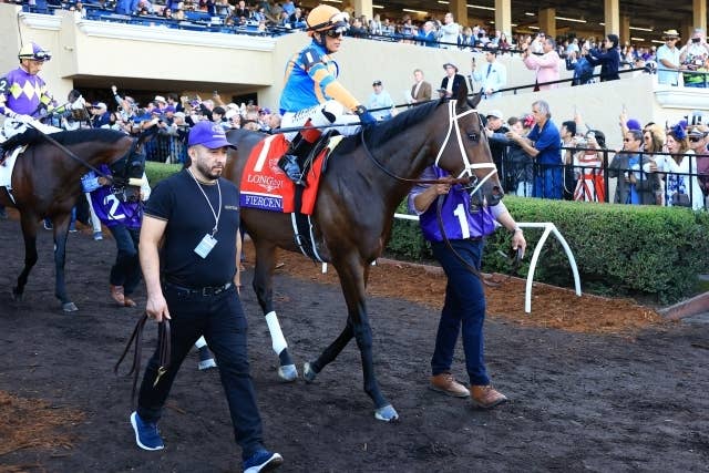 2025ブリーダーズカップ | JRA-VAN World - 海外競馬情報サイト