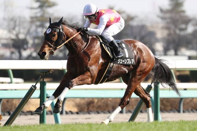 競馬 香港国際競走 オフィシャルブルゾン Mサイズ 競馬 香港国際競走