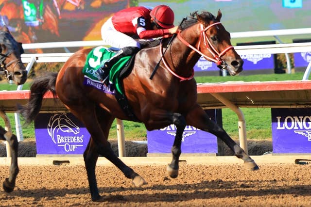 2025ブリーダーズカップ | JRA-VAN World - 海外競馬情報サイト