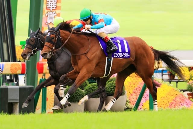 桜花賞＆秋華賞制覇のエンブロイダリーが香港マイルの招待を受諾／有力