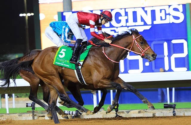 フォーエバーヤング（Forever Young） | 競馬データベース | JRA-VAN