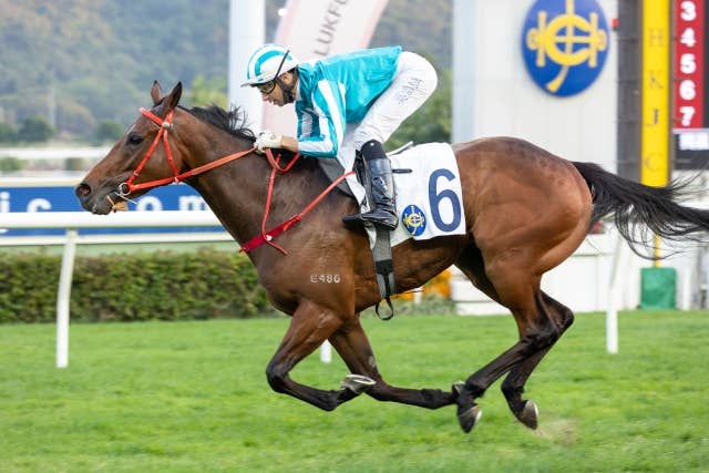 ロマンチックウォリアーが約11カ月ぶりに地元で雄姿、故障明けも「全て