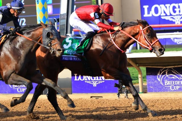 フォーエバーヤング（Forever Young） | 競馬データベース | JRA-VAN