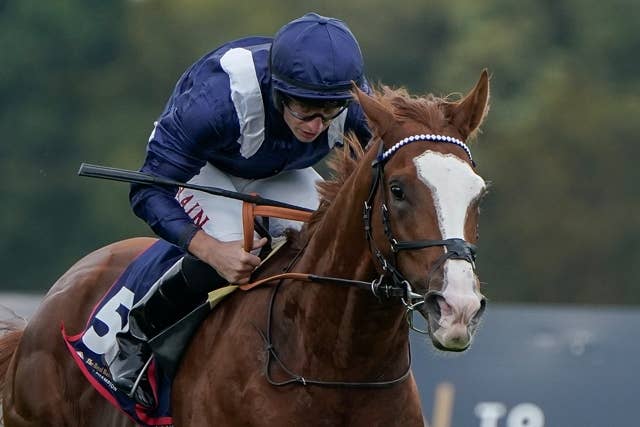 競馬の極み エコノミクスはインドで種牡馬入り、ラザットの父やサトノインプレッサ