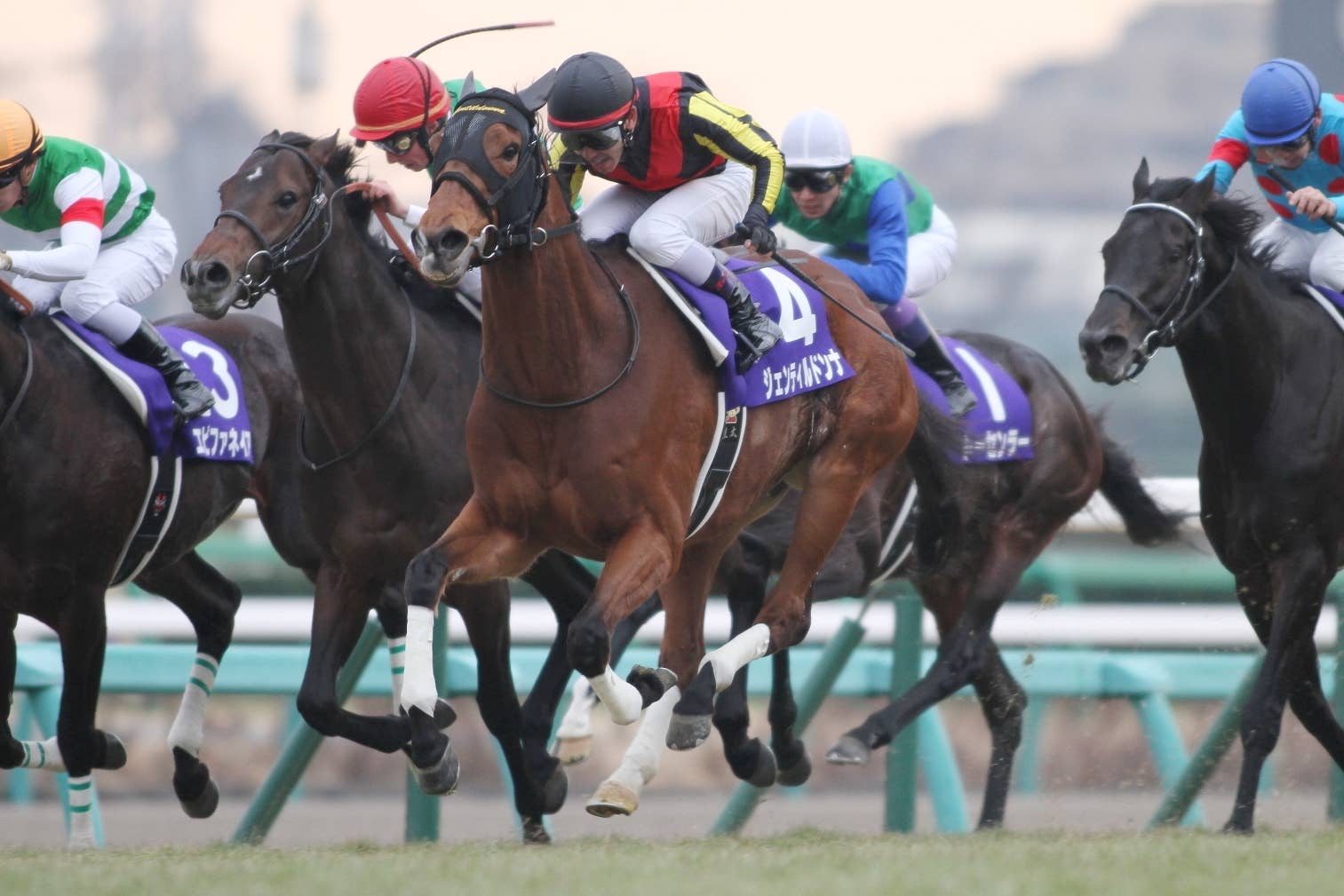 ジェンティルドンナ（Gentildonna） | 競馬データベース | JRA-VAN