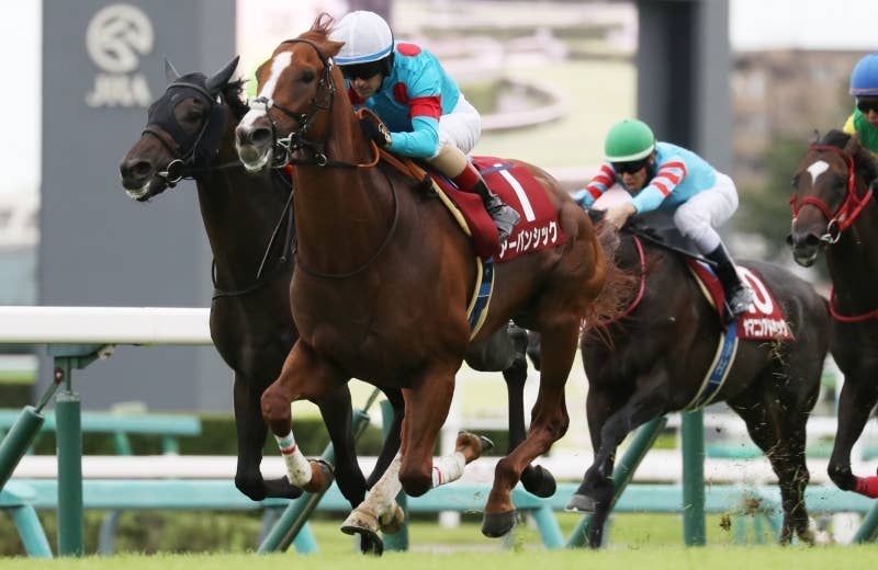 アーバンシック（Urban Chic） | 競馬データベース | JRA-VAN World