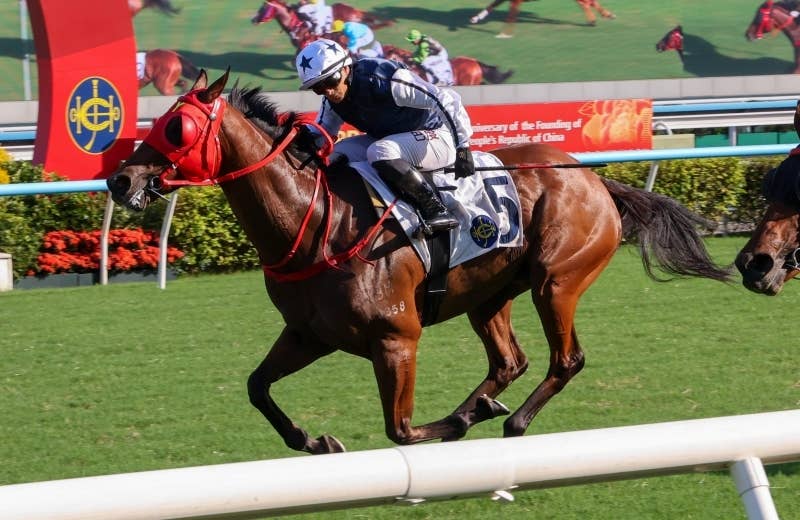 出走馬情報 | 2025香港スプリント | JRA-VAN World - 海外競馬情報サイト