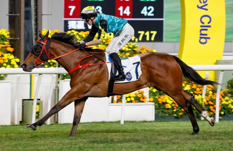 出走馬情報 | 2025香港スプリント | JRA-VAN World - 海外競馬情報サイト