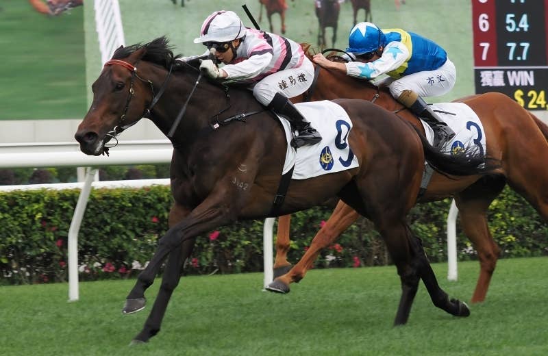 出走馬情報 | 2025香港スプリント | JRA-VAN World - 海外競馬情報サイト