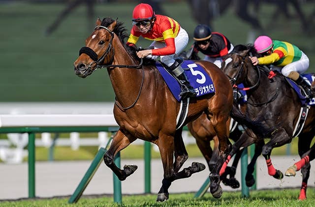 香港国際競走4レースの馬券発売が決定、ベラジオオペラら参戦予定