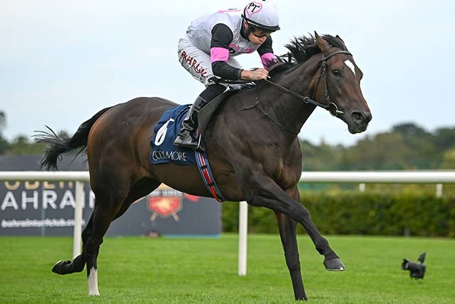 欧州G1を4勝のポータフォーチュナ、約10億円でクールモアが落札 | JRA