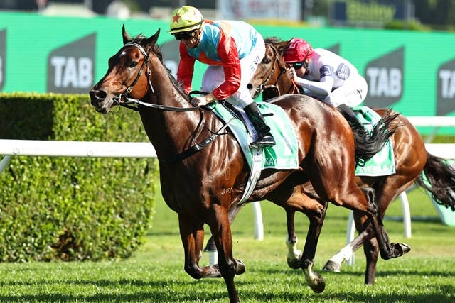 カーインライジングが香港スプリント前週追い切り、16連勝へ視界良好