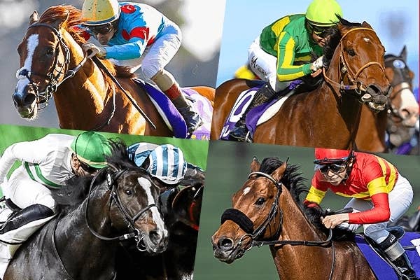 リスグラシュー（Lys Gracieux） | 競馬データベース | JRA-VAN World