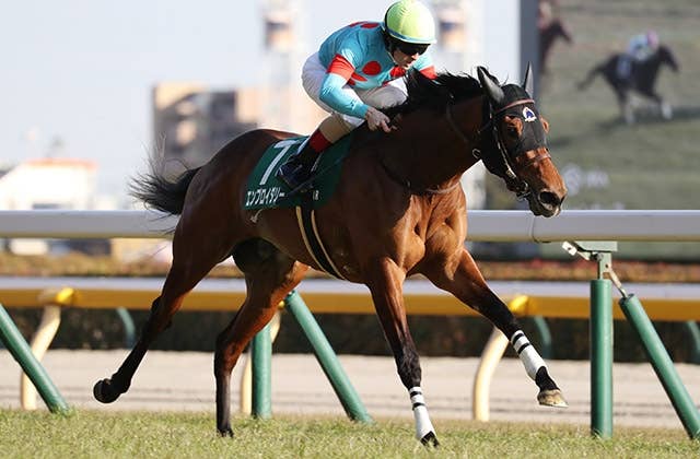 香港マイル】上位5頭が評価が拮抗！日本のソウルラッシュ、エンブロイ