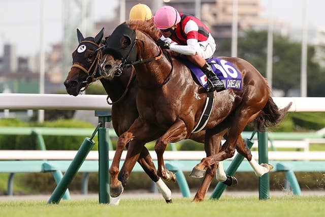 香港スプリント（G1） 2025/12/14(日) | 日程・結果 | JRA-VAN World