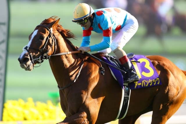 香港ヴァーズ枠順】アーバンシックは3番ゲート | JRA-VAN World - 海外