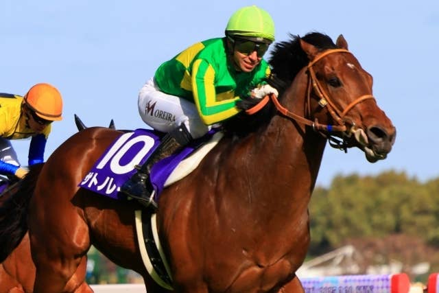 【ロードカナロア・香港スプリント(国際GⅠ) ラストラン優勝ゼッケン〈非売品〉】 香港スプリント枠順】サトノレーヴは4番ゲート、ウインカーネリアンは