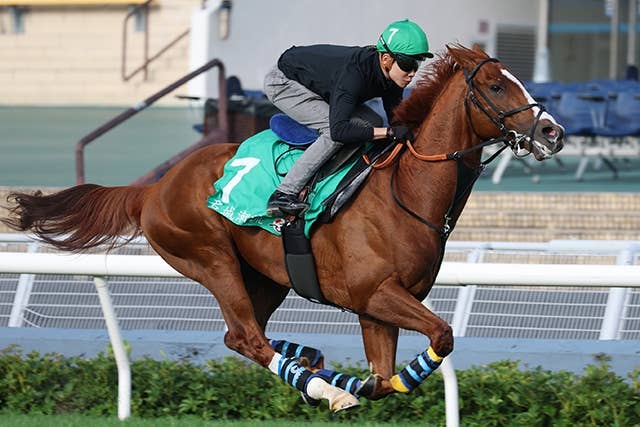 香港ヴァーズ】ルメール騎手「自信ある」菊花賞馬アーバンシック復活へ