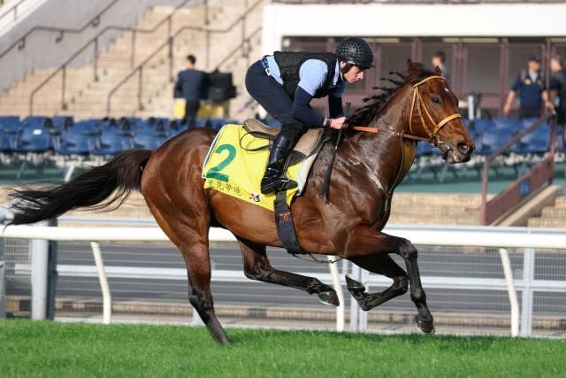 須田鷹雄の香港国際競走2025注目馬～香港スプリント編 | JRA-VAN World