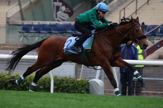 須田鷹雄の香港国際競走2025注目馬～香港カップ編 | JRA-VAN World