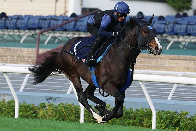 香港マイル】ラストランのソウルラッシュ芝で軽快、池江師「なんとして