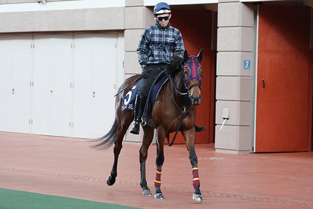 香港マイル】エンブロイダリー森一師は仕上がりに手応え「1歩踏み込ん