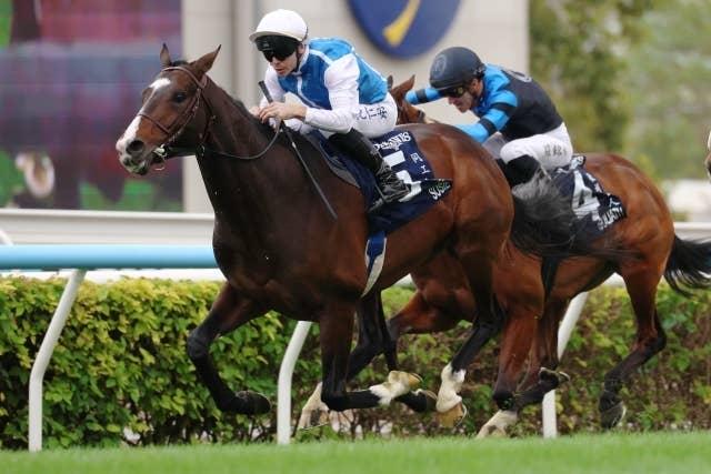 AVANTI Sサイズ インディジェナス 香港年度代表馬 Amazon.co.jp: メジロマックイーン 天皇賞 競馬 ぬいぐるみ AVANTI S