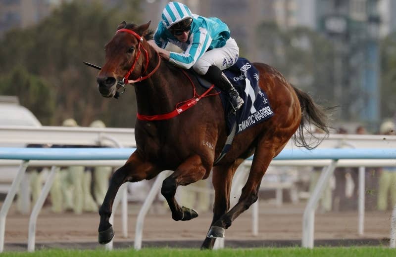 ロマンチックウォリアー（Romantic Warrior） | 競馬データベース