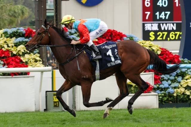 カーインライジング　香港　年度代表馬　ぬいぐるみ　香港国際競走　現地物日本未発売 カーインライジング 香港 年度代表馬 ぬいぐるみ 香港国際競走 現地物