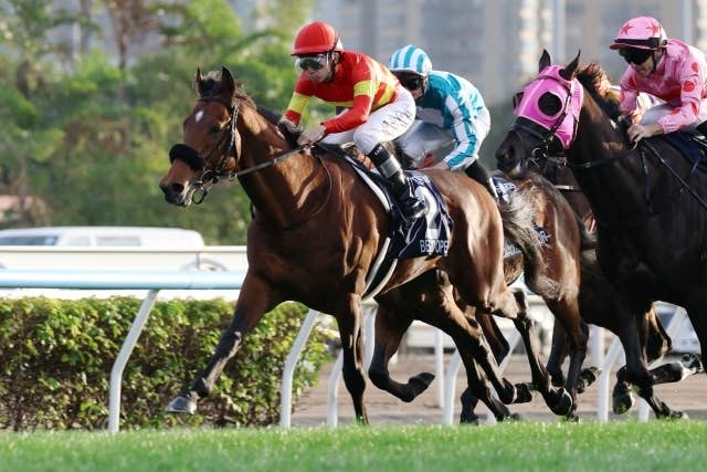 ソウルラッシュ（Soul Rush） | 競馬データベース | JRA-VAN World