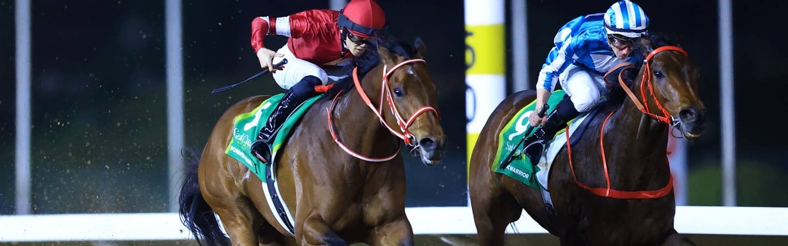 【サウジカップデー】<br>最新情報はこちら