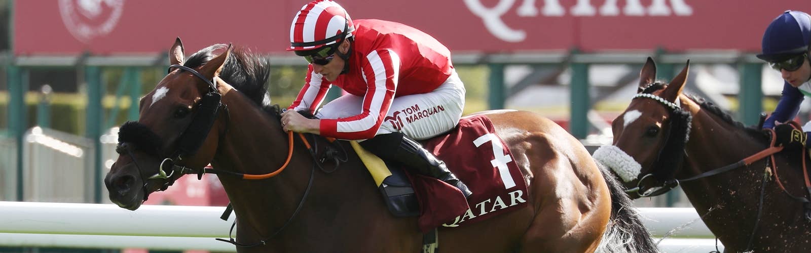 長距離戦線でブレークのカバーヨデマール<br>2026年はドバイゴールドCで始動