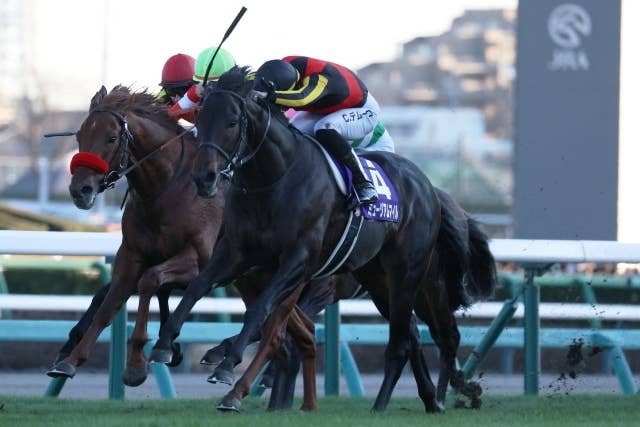 昨年の有馬記念覇者ミュージアムマイルは3・28ドバイターフへ 鞍上はC