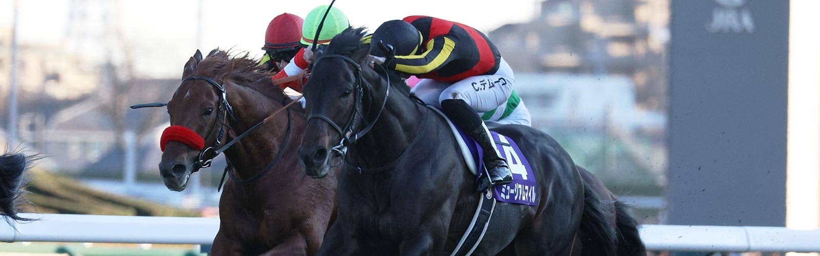 ミュージアムマイル<br>凱旋門賞の前売りで3番人気タイ