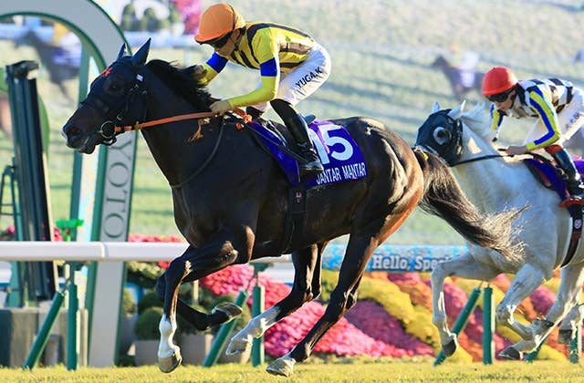 最優秀マイラーのジャンタルマンタルはドバイターフに予備登録／有力馬