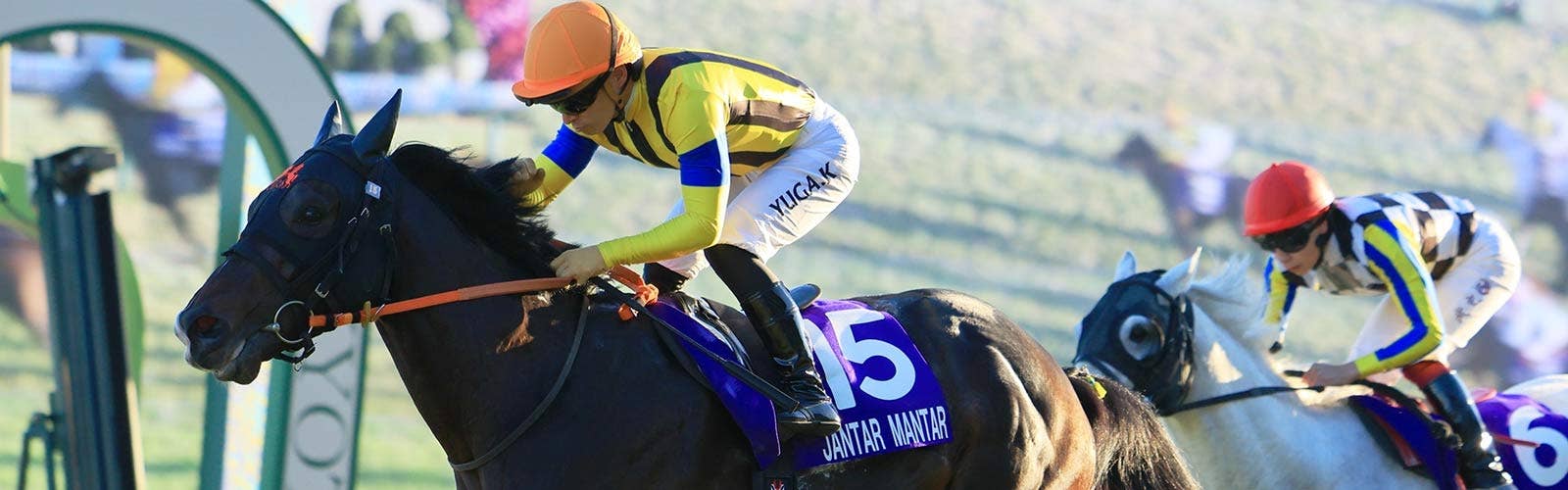 マイル王ジャンタルマンタル<br>ドバイターフの招待を受諾