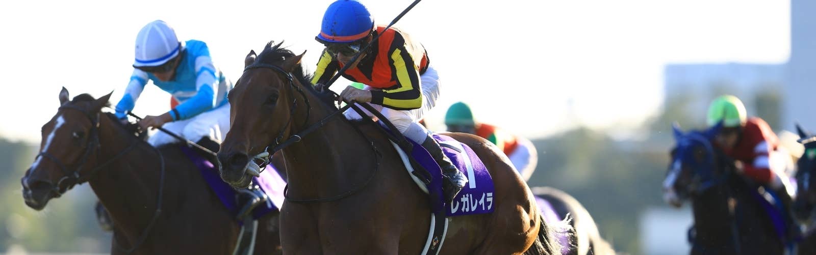 有馬記念4着のレガレイラ<br>ドバイシーマCに予備登録